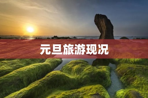 元旦旅游现况