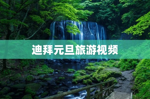 迪拜元旦旅游视频
