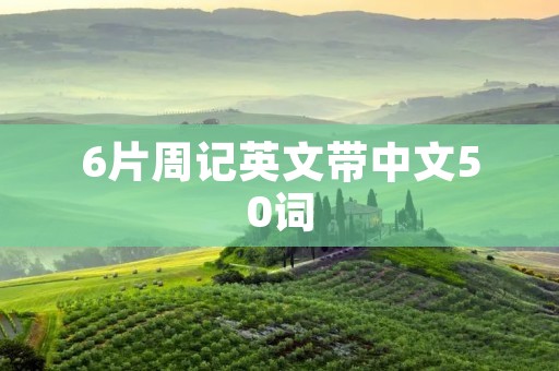 6片周记英文带中文50词