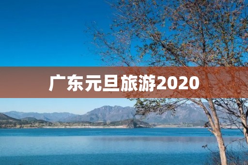 广东元旦旅游2020
