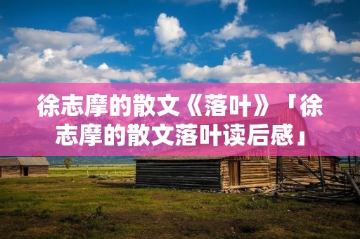 徐志摩的散文《落叶》「徐志摩的散文落叶读后感」