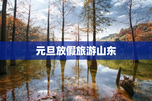 元旦放假旅游山东