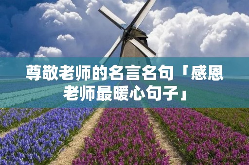 尊敬老师的名言名句「感恩老师最暖心句子」