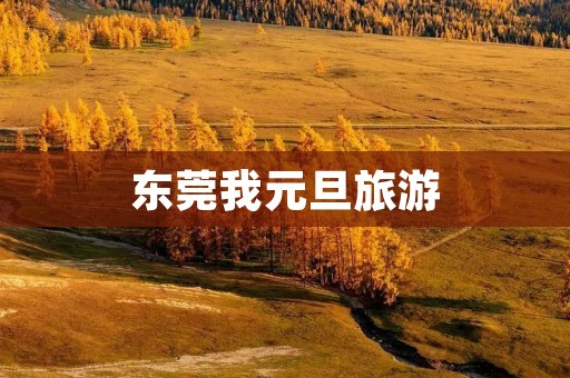 东莞我元旦旅游