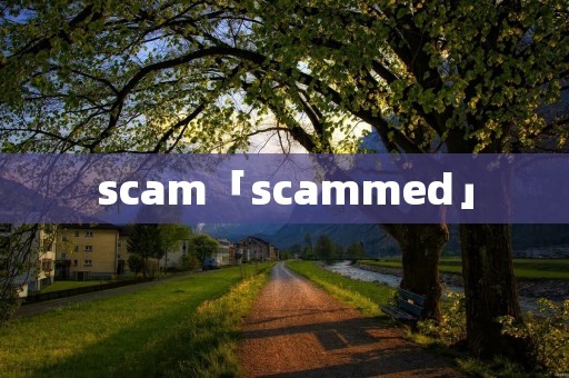 scam「scammed」