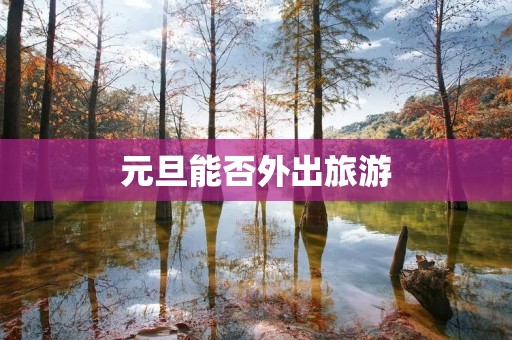 元旦能否外出旅游
