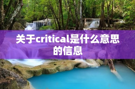 关于critical是什么意思的信息