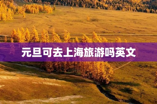 元旦可去上海旅游吗英文