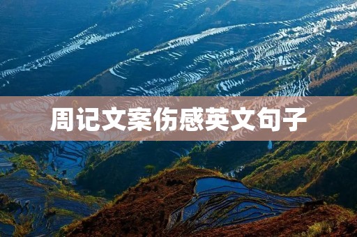周记文案伤感英文句子