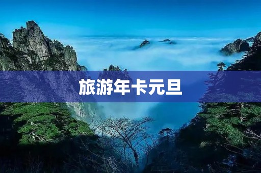 旅游年卡元旦