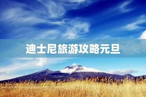 迪士尼旅游攻略元旦