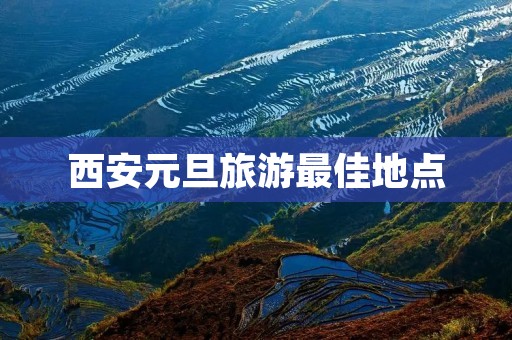 西安元旦旅游最佳地点
