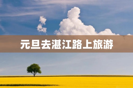 元旦去湛江路上旅游