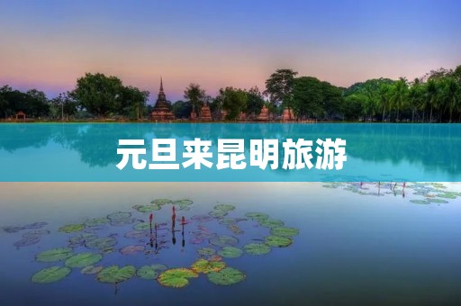 元旦来昆明旅游