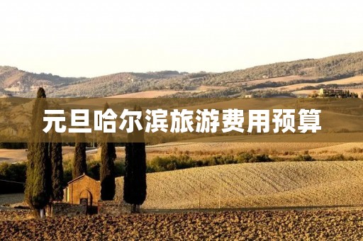 元旦哈尔滨旅游费用预算