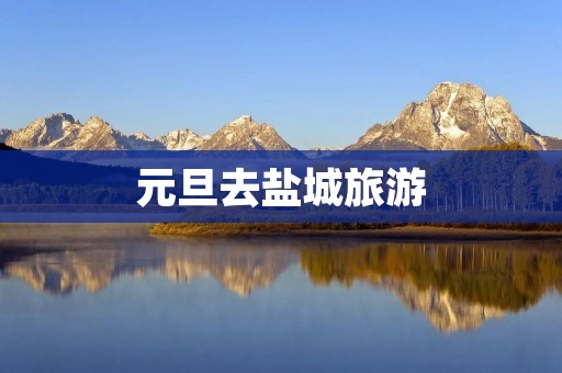 元旦去盐城旅游