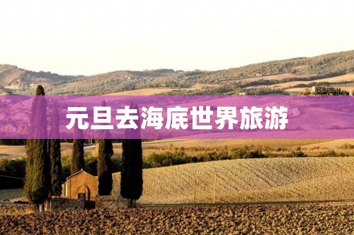 元旦去海底世界旅游