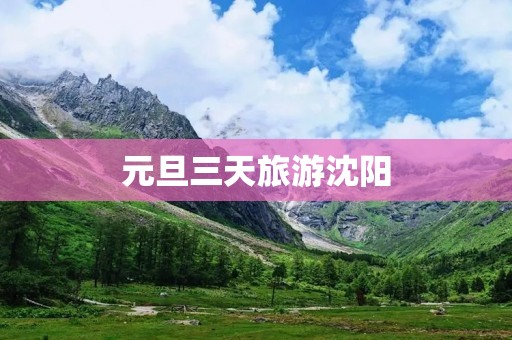 元旦三天旅游沈阳