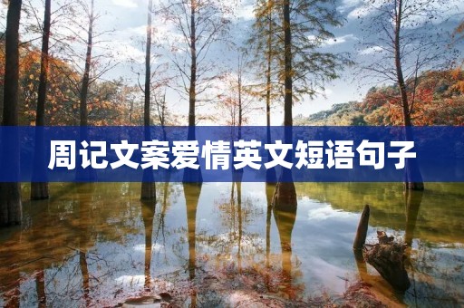 周记文案爱情英文短语句子