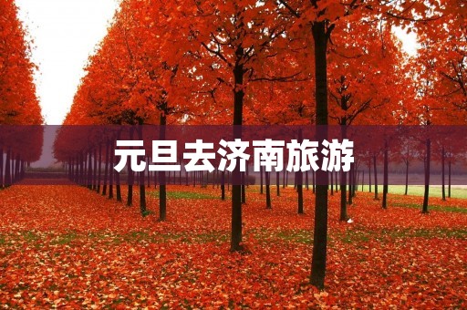 元旦去济南旅游
