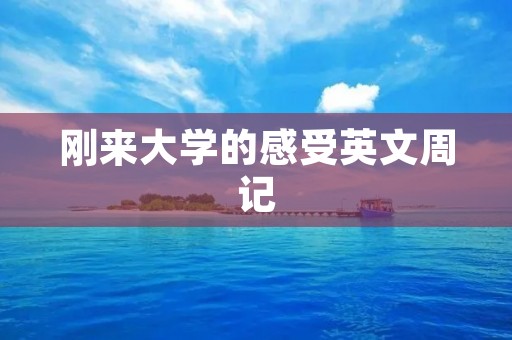 刚来大学的感受英文周记