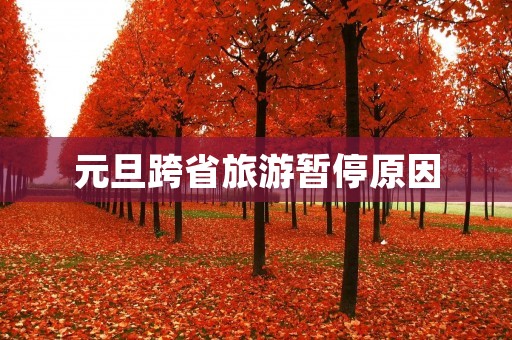 元旦跨省旅游暂停原因