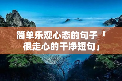 简单乐观心态的句子「很走心的干净短句」
