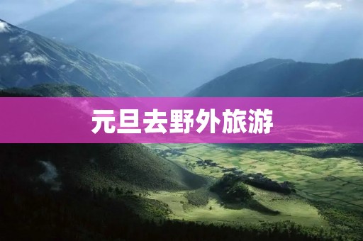 元旦去野外旅游