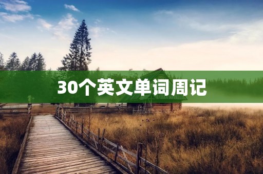 30个英文单词周记