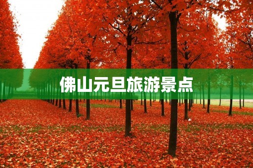 佛山元旦旅游景点