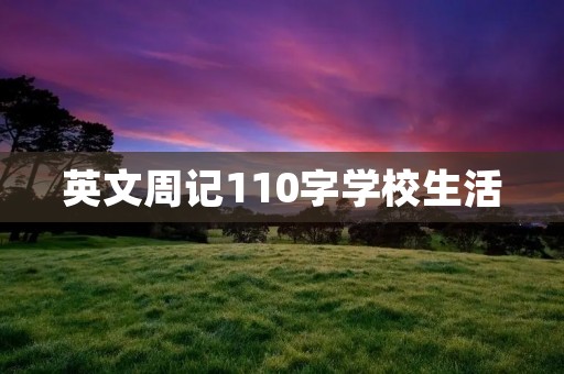 英文周记110字学校生活