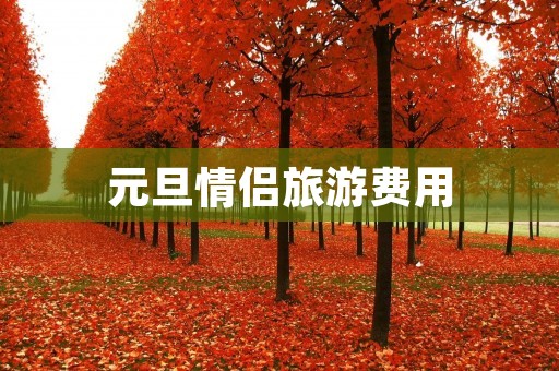 元旦情侣旅游费用