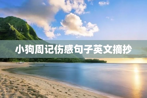 小狗周记伤感句子英文摘抄