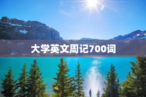 大学英文周记700词