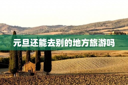 元旦还能去别的地方旅游吗