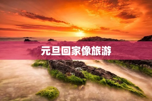 元旦回家像旅游