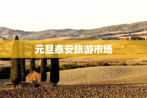 元旦泰安旅游市场