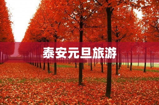 泰安元旦旅游