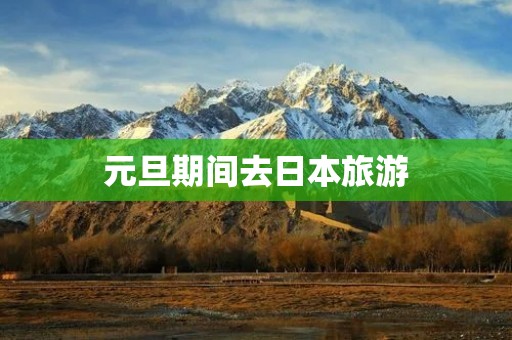 元旦期间去日本旅游