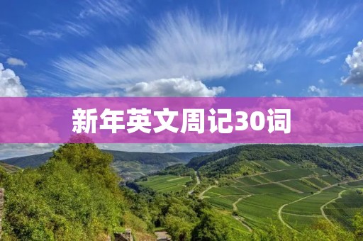 新年英文周记30词