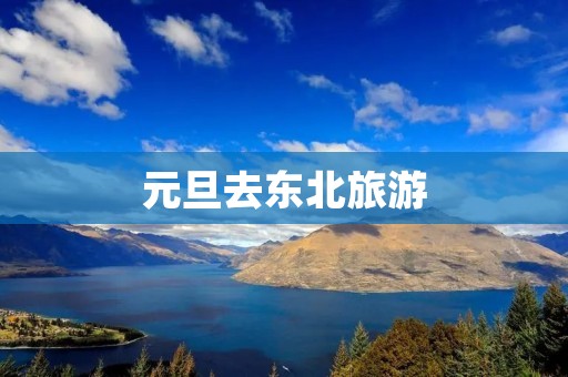 元旦去东北旅游 元旦去东北旅游