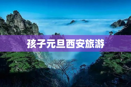 孩子元旦西安旅游