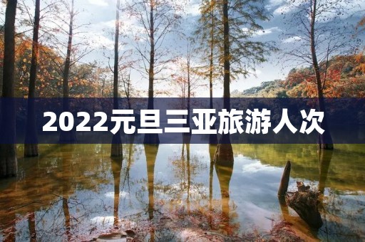 2022元旦三亚旅游人次