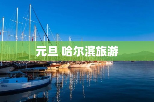 元旦 哈尔滨旅游
