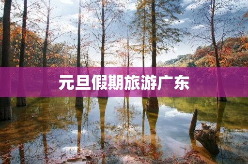 元旦假期旅游广东