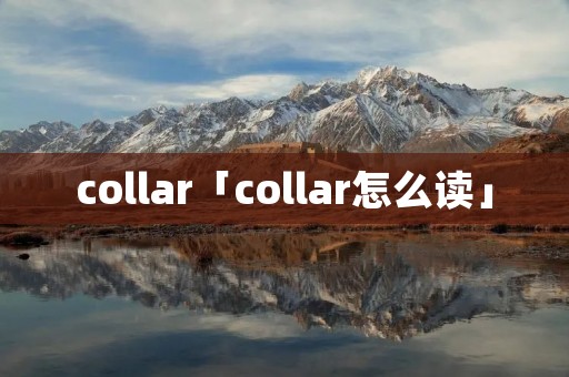 collar「collar怎么读」