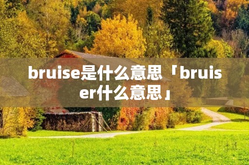 bruise是什么意思「bruiser什么意思」