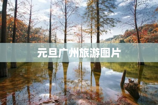 元旦广州旅游图片