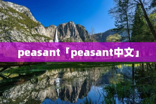 peasant「peasant中文」