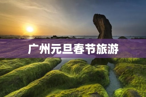 广州元旦春节旅游